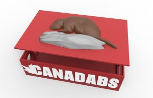 Canadabs Beaver Box CAD Design competitions