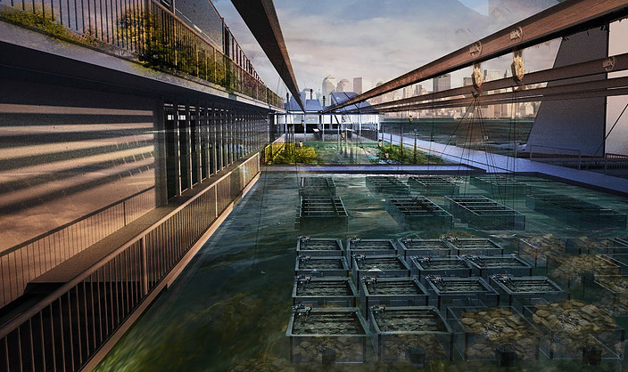 NYC east river farm architectural desig