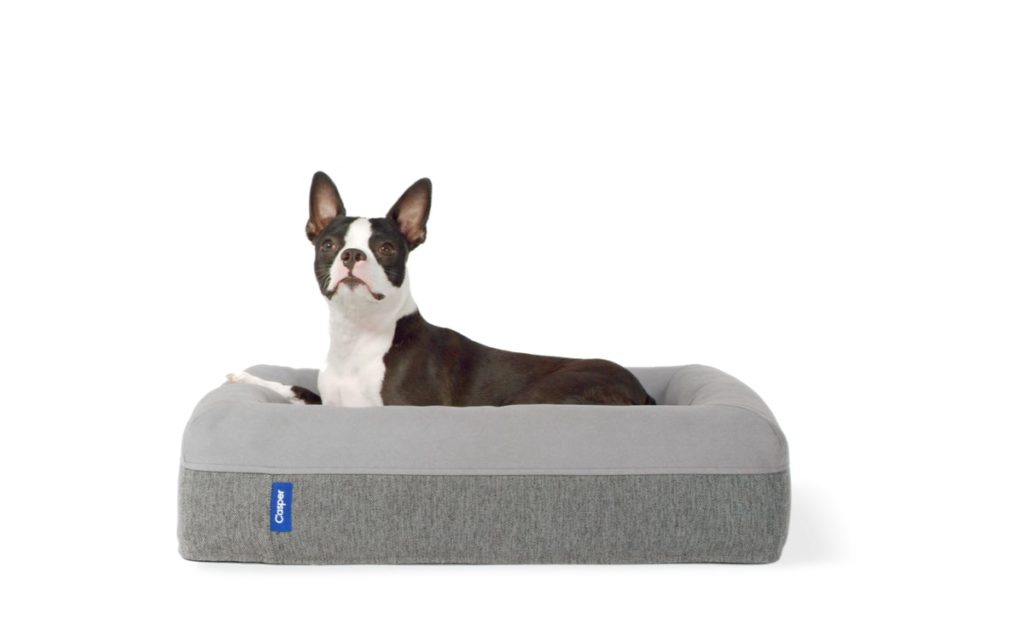 casper dog mattress