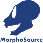 MorphoSource