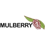 Mulberry1