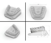 TRUFIT dental display Model