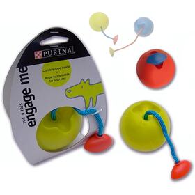 Dog toss ball