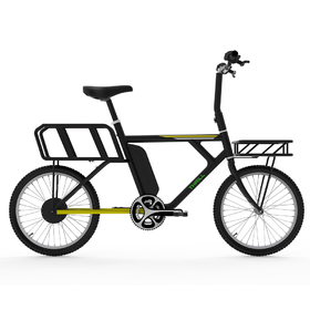 Electric city bike with storage