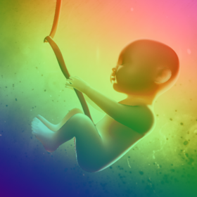 3D Character Modeling