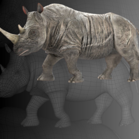 Photorealistic 3D Model