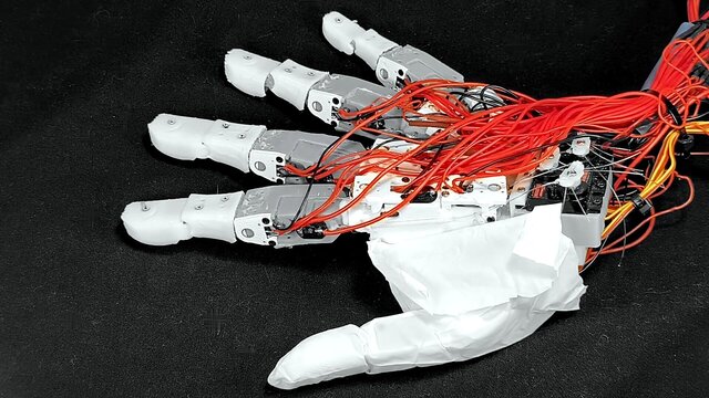 3D model of Anthropomorphic Human Hand - full motion