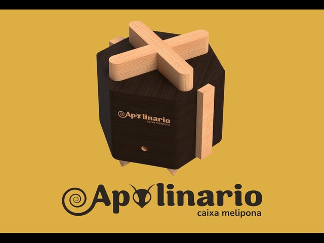 Apolinário: Stingless Bee Box