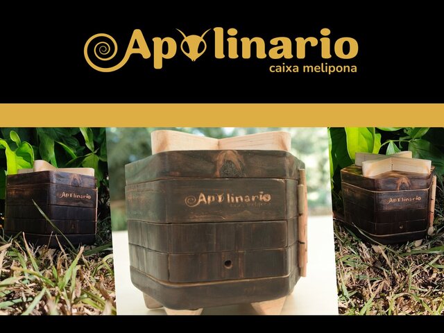 3D model of Apolinário: Stingless Bee Box