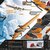 VTOL Antarctic Research Drone – INVAP