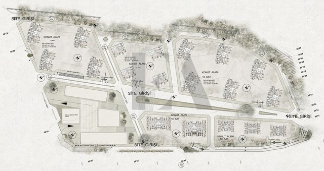 Adobe Photoshop Coloring