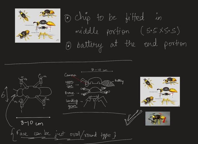 bee-drone