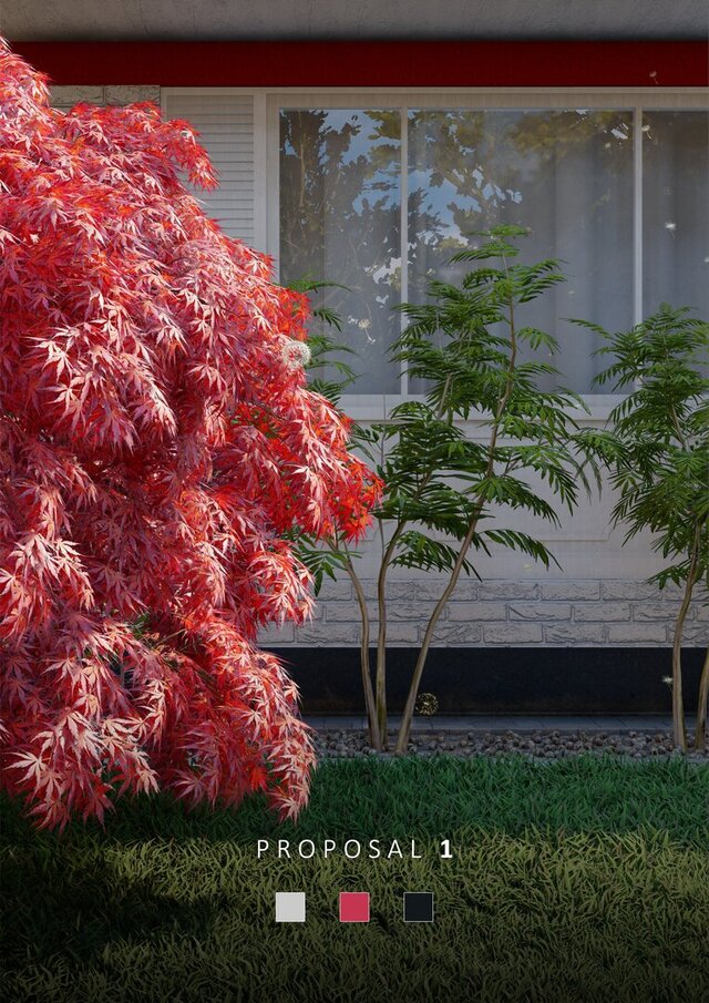 3D model of Facade of a Japanese Maple