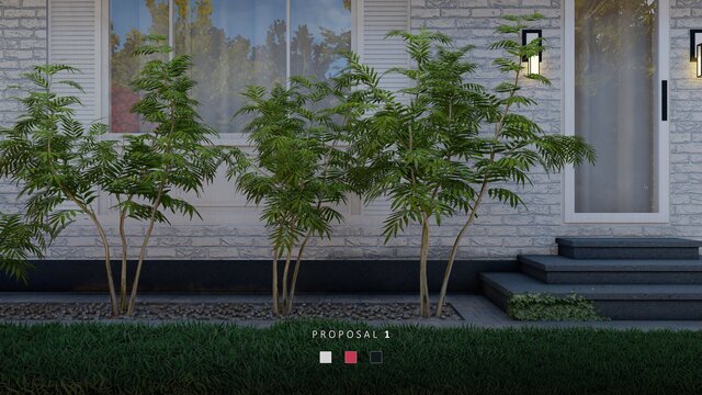3D model of Facade of a Japanese Maple