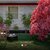 Facade of a Japanese Maple