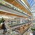 Rendering of a shopping mall