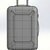 Cabin Luggage Suitcase Anyone