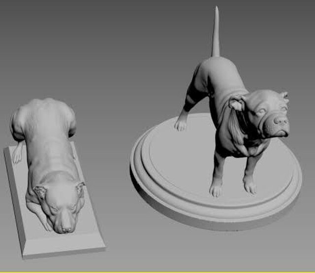 Animal (DOG) Sculpting