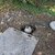 Concrete Casting for EV Charging Station
