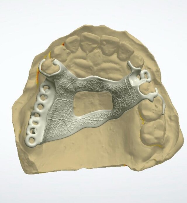 3D model of frame-work