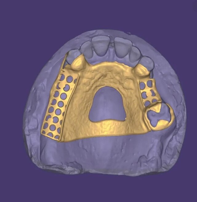 3D model of frame-work