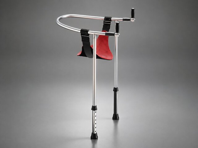 3D model of Assisted walking stick