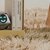 PIXIE // Desktop Companion - Hard Surface Product Design