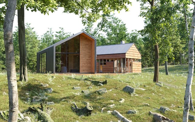Forest house