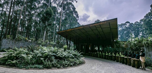 3D model of One Only Gorillas Nest Volcanoes National Park RWANDA