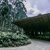 One Only Gorillas Nest Volcanoes National Park RWANDA