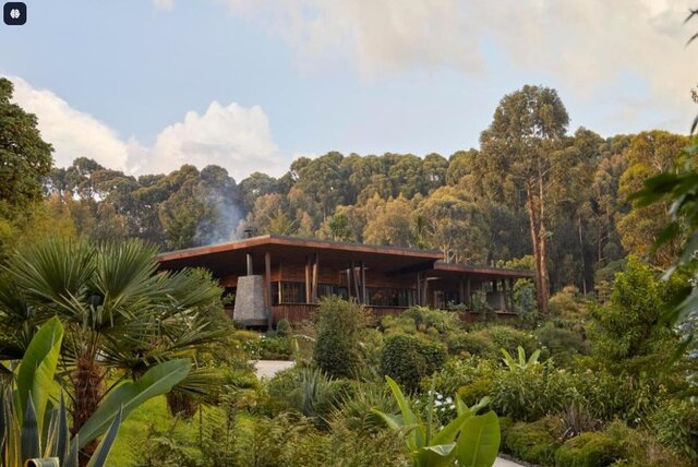 3D model of One Only Gorillas Nest Volcanoes National Park RWANDA