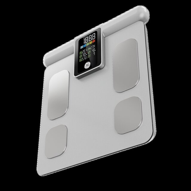 3D model of Flex & Small Scale