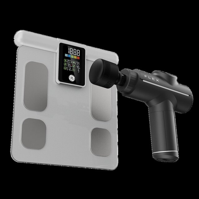 3D model of Flex & Small Scale