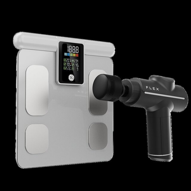 3D model of Flex & Small Scale