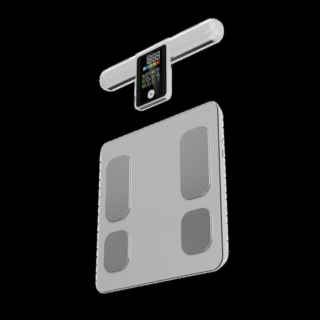 3D model of Flex & Small Scale