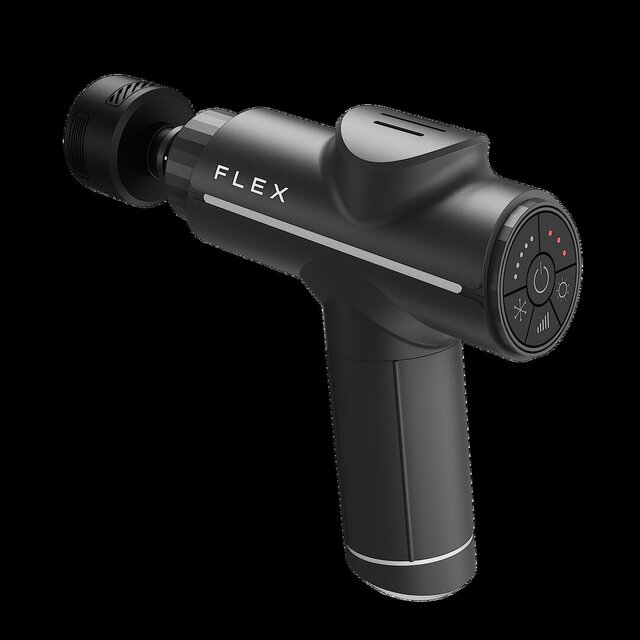 3D model of Flex & Small Scale