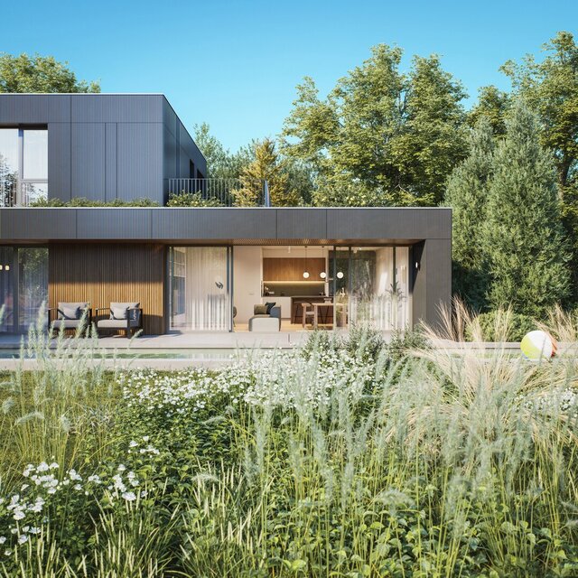 3D model of CS House - Architectural Conceptualization & Rendering