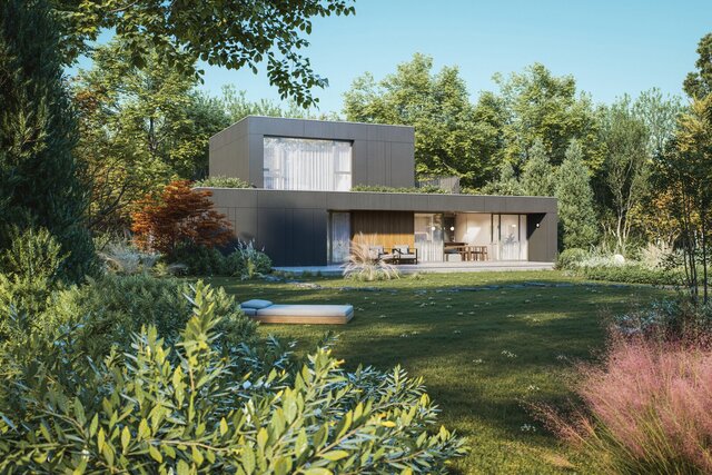 CS House - Architectural Conceptualization & Rendering