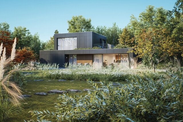 3D model of CS House - Architectural Conceptualization & Rendering