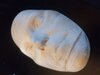 Freeform Sculpted Face - Organic Modeling + 3D Finish Machining design by christopherc3356