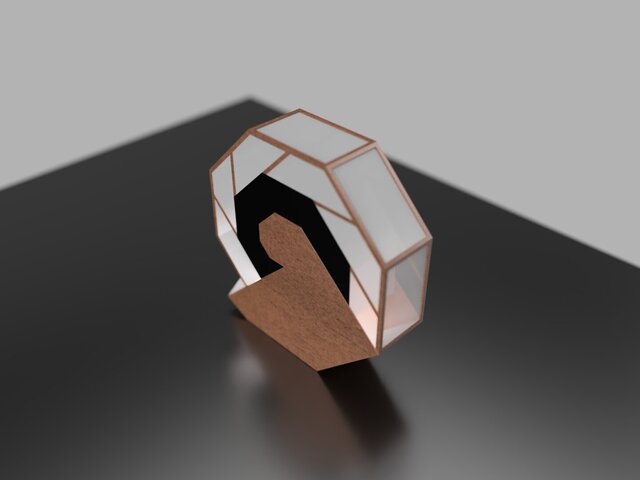 3D model of Saligari Lamb