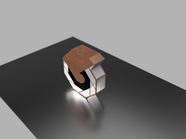3D model of Saligari Lamb