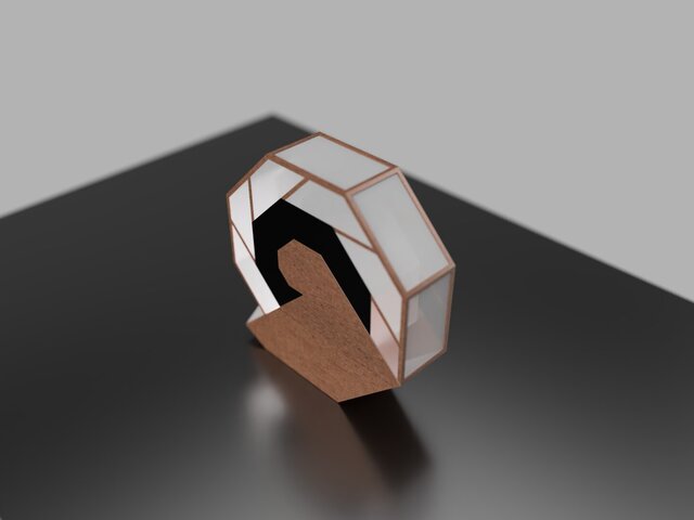 3D model of Saligari Lamb