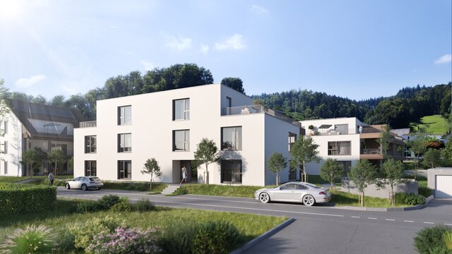 3D model of Swiss Mountain Development – Wohnbehagen