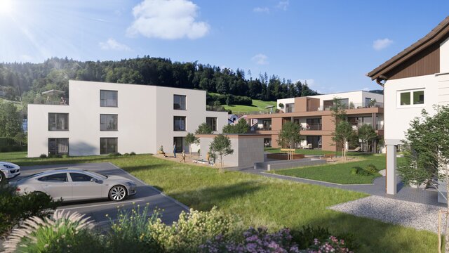 3D model of Swiss Mountain Development – Wohnbehagen