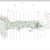Civil Site Plan & Topographic Layout: Water Retention Basin (Detention Pond)