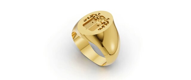 Family Crest Signet Ring — Custom Relief CAD Design | Rhino + MatrixGold | 18K Gold