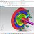 SINGLE CLUTCH PLATE MODEL