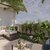 Backyard Renovation