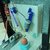 In-Ovo Injection Mechanism Design